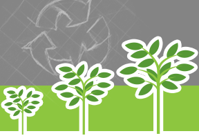 A stylized graphic of a tree growing that supports the text discussing KB Recycling's Plant A Tree program in Amarillo, Texas.
